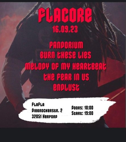 FLACORE LOCAL BASH